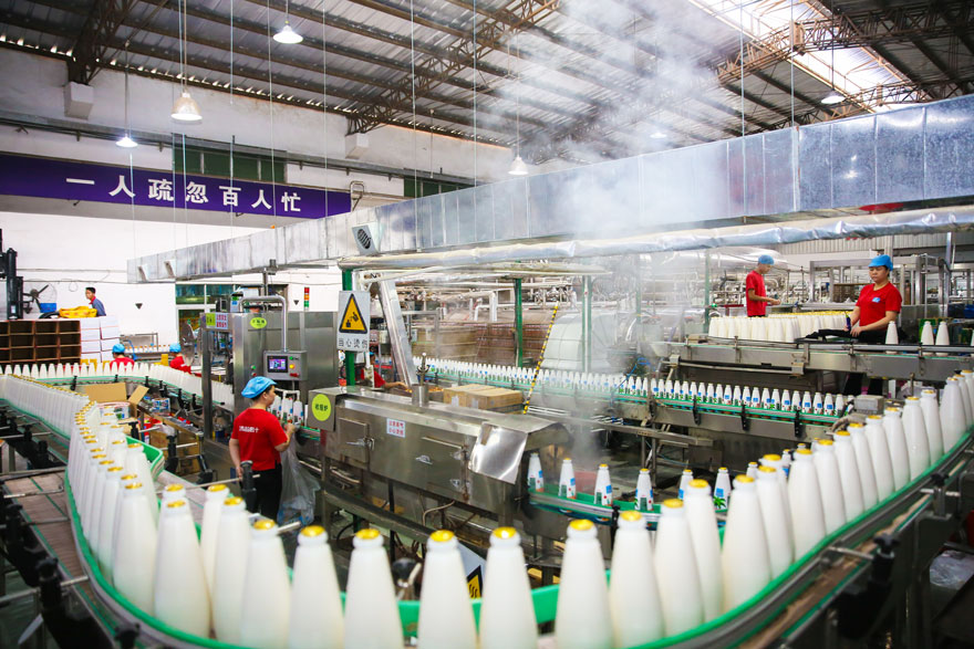 清藍(lán)椰汁生產(chǎn)廠家