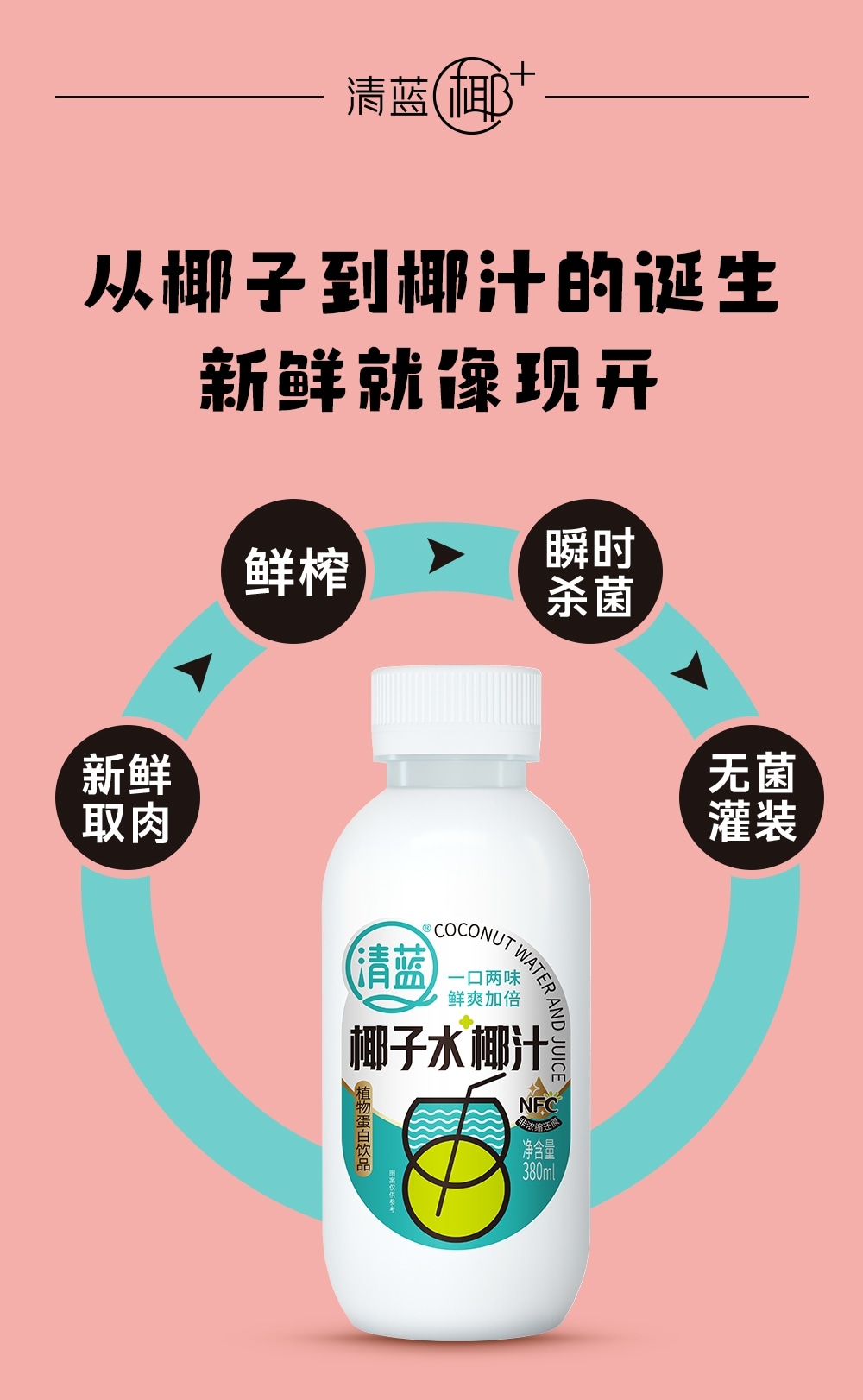 椰子水椰汁380ml-詳情頁(yè)切片_07.jpg
