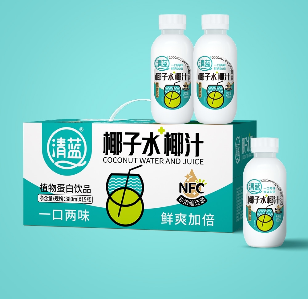 椰子水椰汁380ml-詳情頁(yè)切片_12.jpg